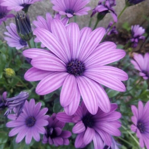 cropentropycstinysrgbfitmaxfmjpgixidm3w1mzc1fdb8mxxzzwfyy2h8nxx8chvycgxljtiwzmxvd2vyfgvufdb8fhx8mtc2mjcymtkxoxwwixlibrb 4.1.0q80w1080type